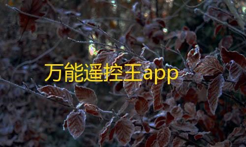 三角洲卡网开心助手最新版本更新内容详情万能遥控王app